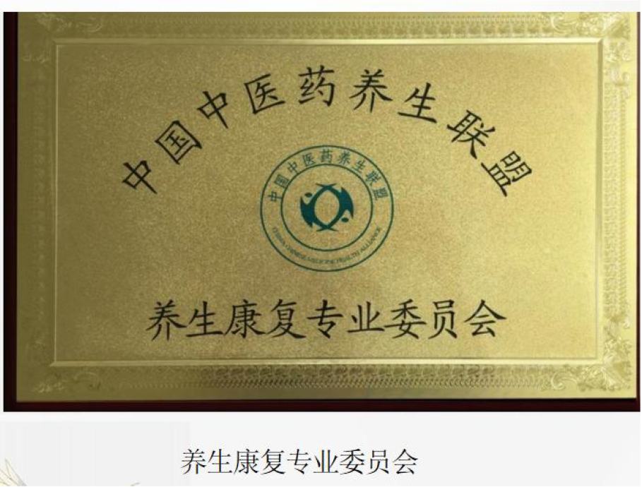 养生康复专业委员会